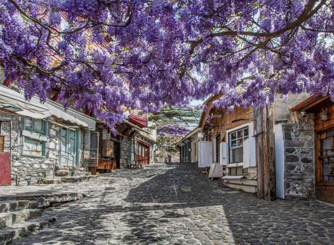 07-10/06 | 4 ημέρες | Ταξίδι στη μυθική Λέσβο!