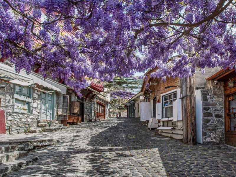 07-10/06 | 4 ημέρες | Ταξίδι στη μυθική Λέσβο!